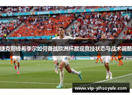 捷克前锋希季尔如何备战欧洲杯展现竞技状态与战术调整